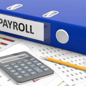 Level 2 Payroll Course