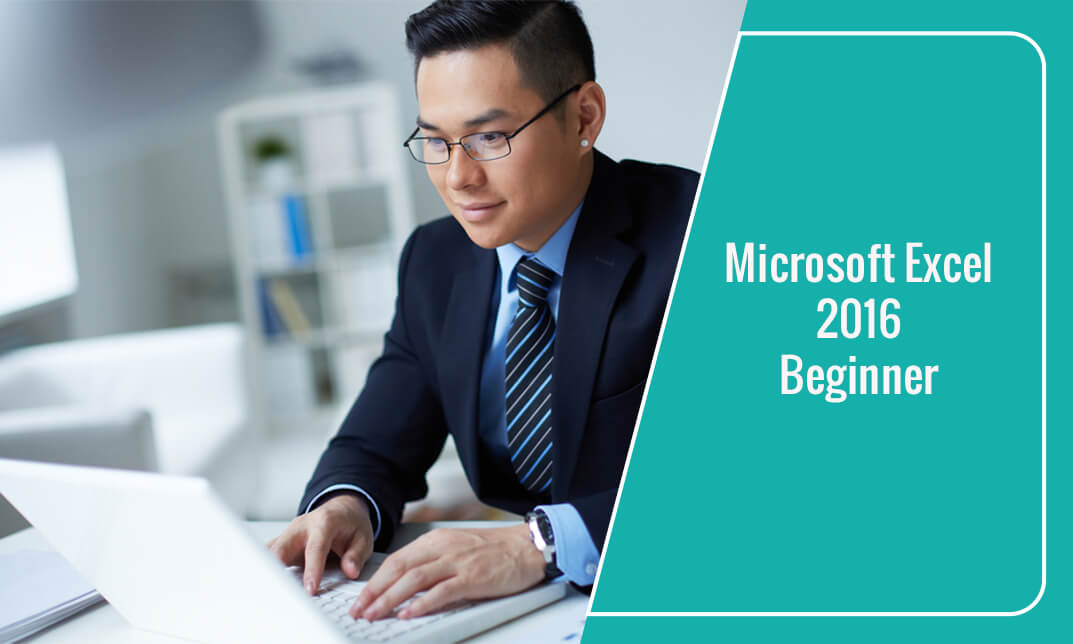 Microsoft Office 2016 Excel Beginner