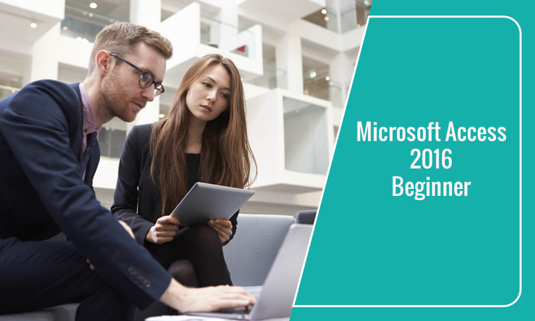 Microsoft Office 2016 Access Beginner