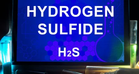 Hydrogen Sulfide Training