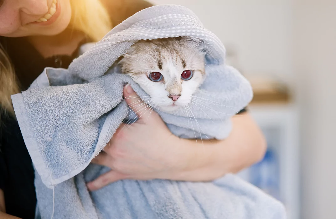 Animal Care Level 3 Course